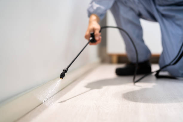 Licensed Pest Control service in Rhode Island, RI - Show Me Pest Control
