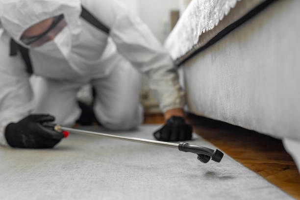 Professional Pest Control technician working in Rhode Island, RI