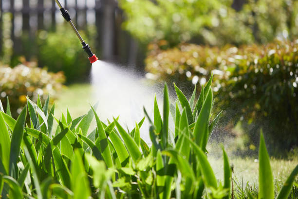 24/7 Emergency Pest Control experts in Rhode Island, RI