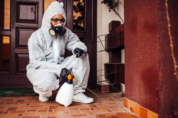 Reliable Pest Control contractor in Rhode Island, RI by Show Me Pest Control